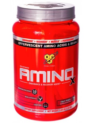 BCAA BSN Amino X (1000 гр.)